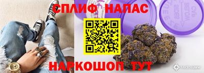 гидра Краснодар