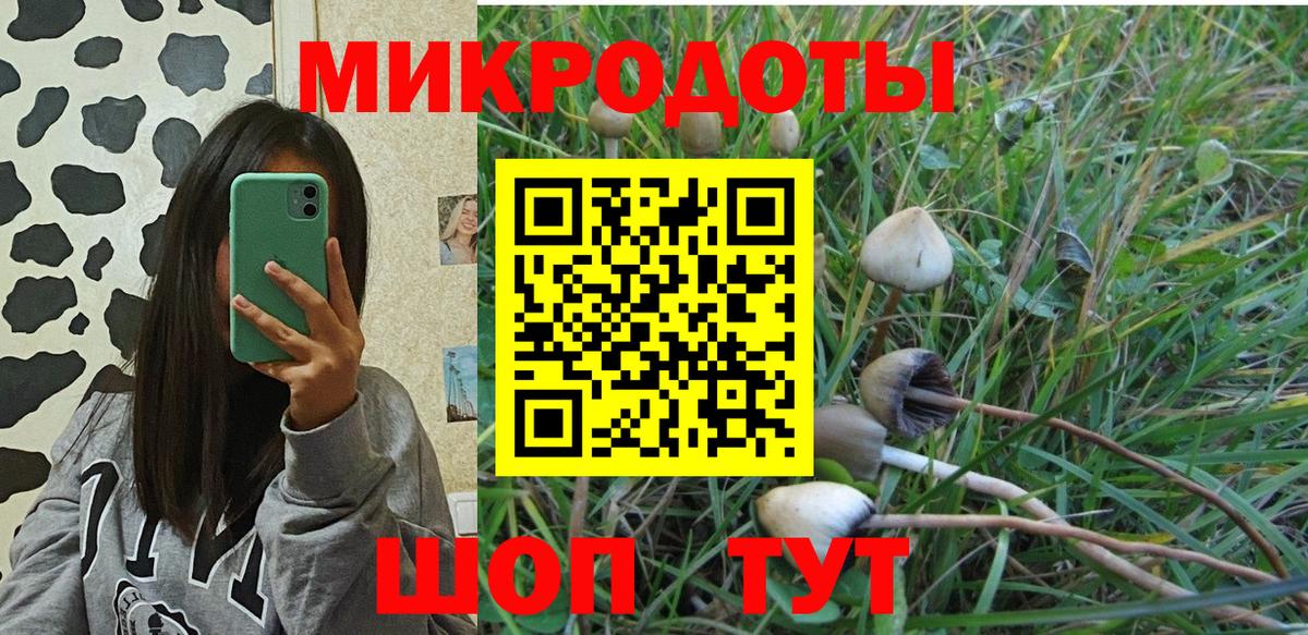 Псилоцибиновые грибы Psilocybe  Галлюциногенные грибы ЛСД  Владивосток  Вход с VPN 