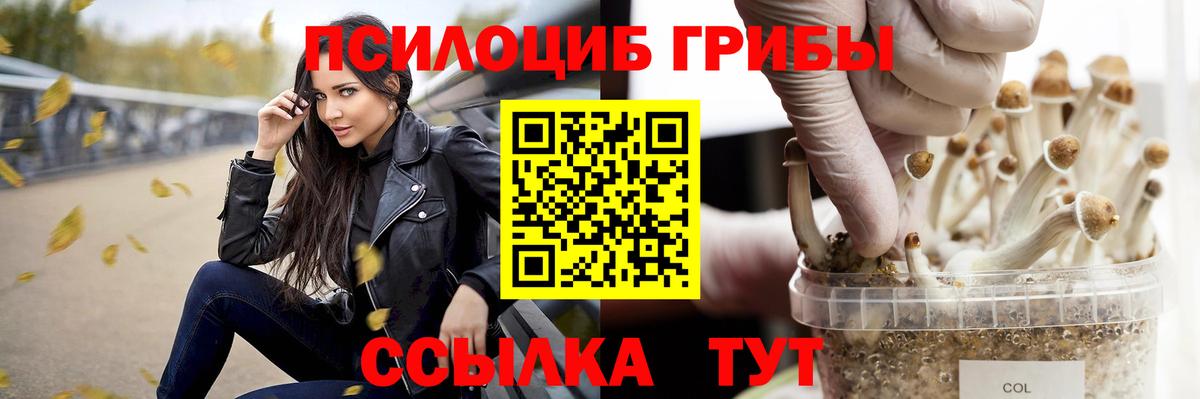 Галлюциногенные грибы MAGIC MUSHROOMS Владивосток